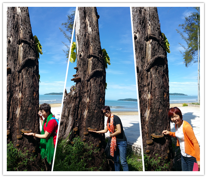 圖片關鍵詞 圖片關鍵詞