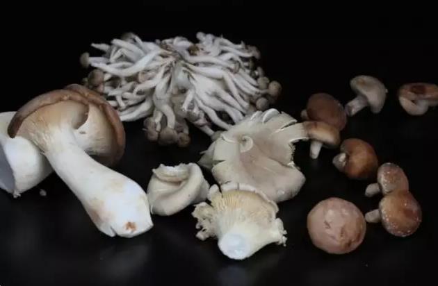 圖片關(guān)鍵詞 圖片關(guān)鍵詞