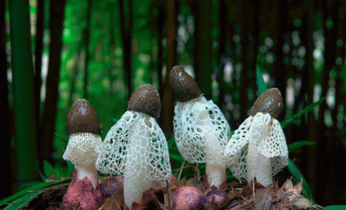 圖片關鍵詞 http://www.castironbathtub.cn/ewebeditor/uploadfile/20180828110329835001.png