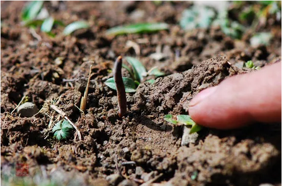 圖片關鍵詞 http://www.castironbathtub.cn/ewebeditor/uploadfile/20180921101313325001.png