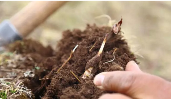 圖片關鍵詞 http://www.castironbathtub.cn/ewebeditor/uploadfile/20180921101228689001.png