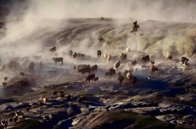國(guó)家蘑菇地理：中國(guó)哪里的蘑菇最好吃？