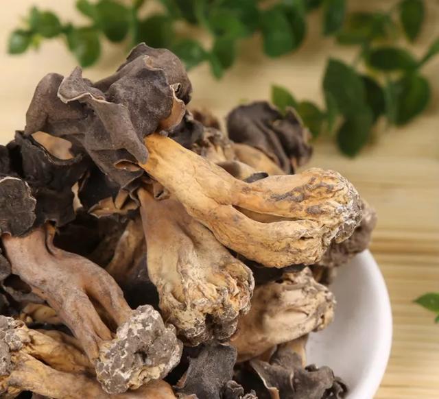 國(guó)家蘑菇地理：中國(guó)哪里的蘑菇最好吃？