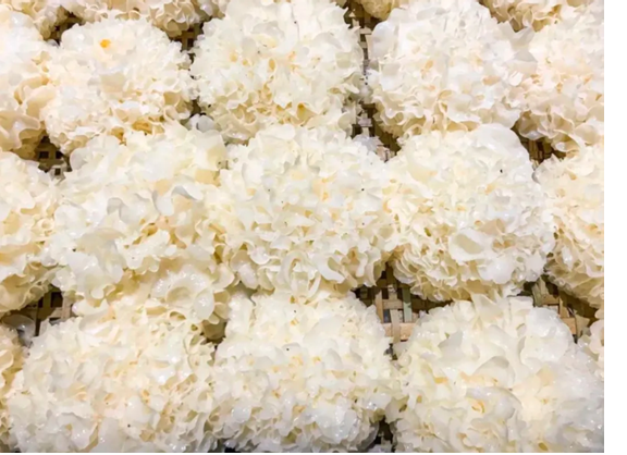 圖片關鍵詞 圖片關鍵詞