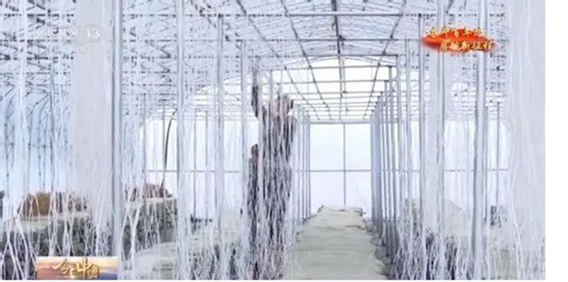 圖片關(guān)鍵詞 圖片關(guān)鍵詞