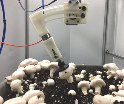 圖片關(guān)鍵詞 圖片關(guān)鍵詞