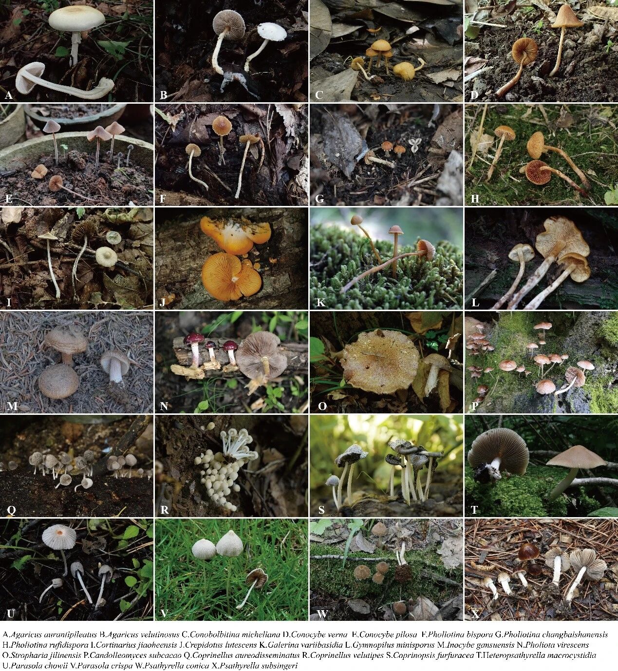 圖片關(guān)鍵詞