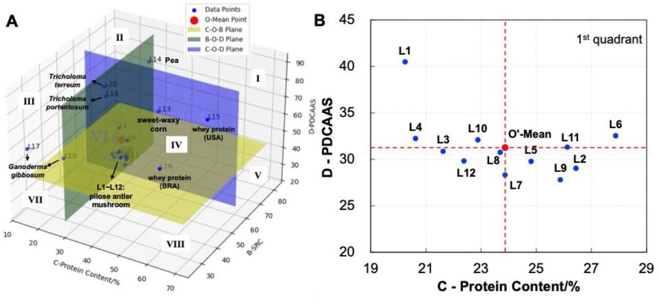 圖片關鍵詞 圖片關鍵詞