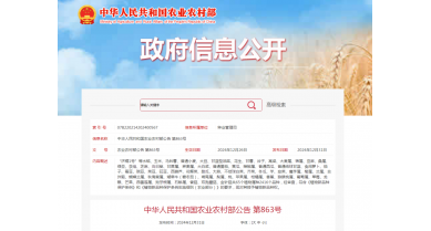 行業(yè)動(dòng)態(tài)