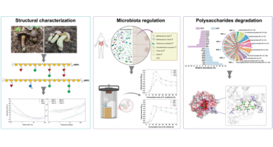 行業(yè)動態(tài)