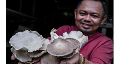 行業(yè)動態(tài)